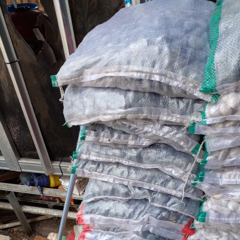 batu taman koral hitam