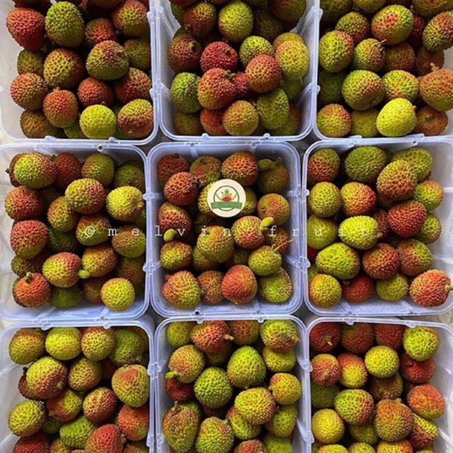 Lychee Madu Hijau Leci Madu Hijau Shopee Indonesia 5168