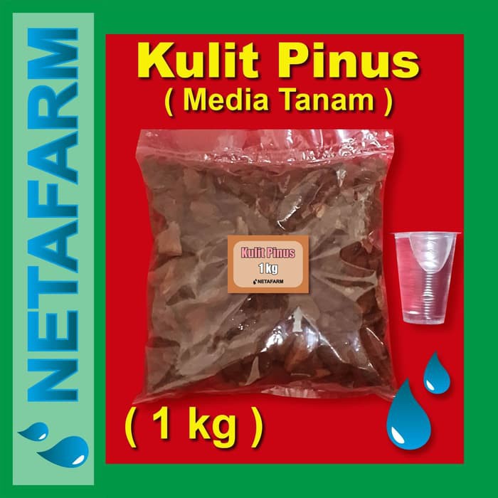 Media Tanam Kulit Pinus cacah PINE BARK uk 1-6cm - 1 kg