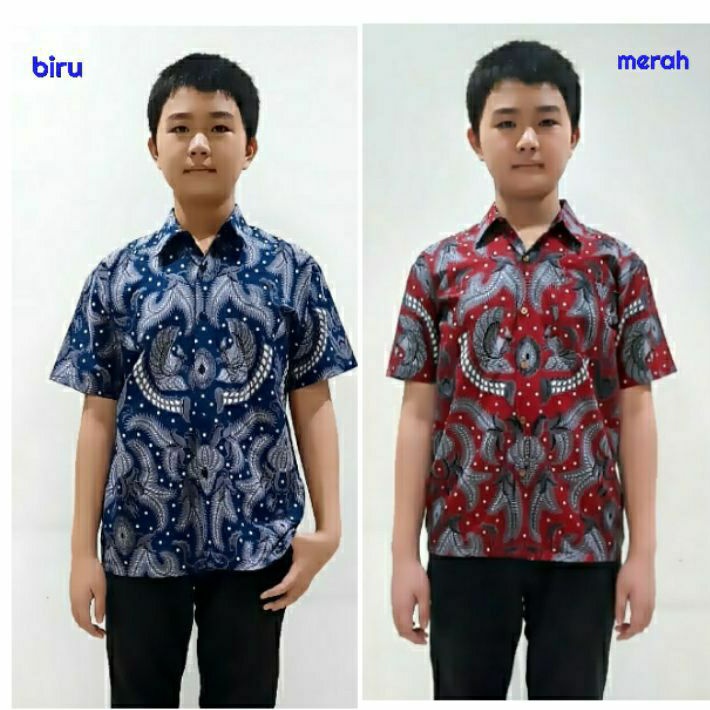 Kemeja Anak Batik 2-12tahun Baju Atasan Hem Batik Anak Laki Laki Seragam Batik DVN