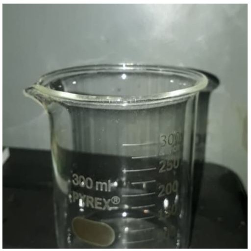 BEAKER GLASS / GELAS KIMIA / GELAS PIALA LOW FORM CAP 300 ml PYREX, KACA BOROSILIATE TAHAN PANAS