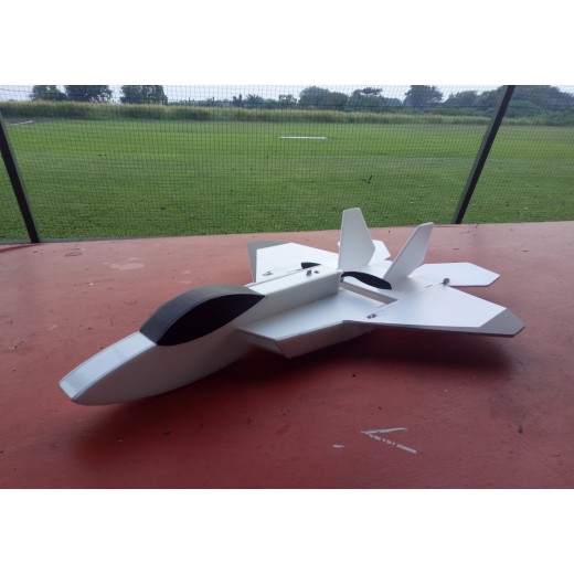 Pesawat Rc - Drone Quapcopter - Drone Blackhawk Kit Rc Pesawat Raptor F-22/Rc Plane Produki Tebaik