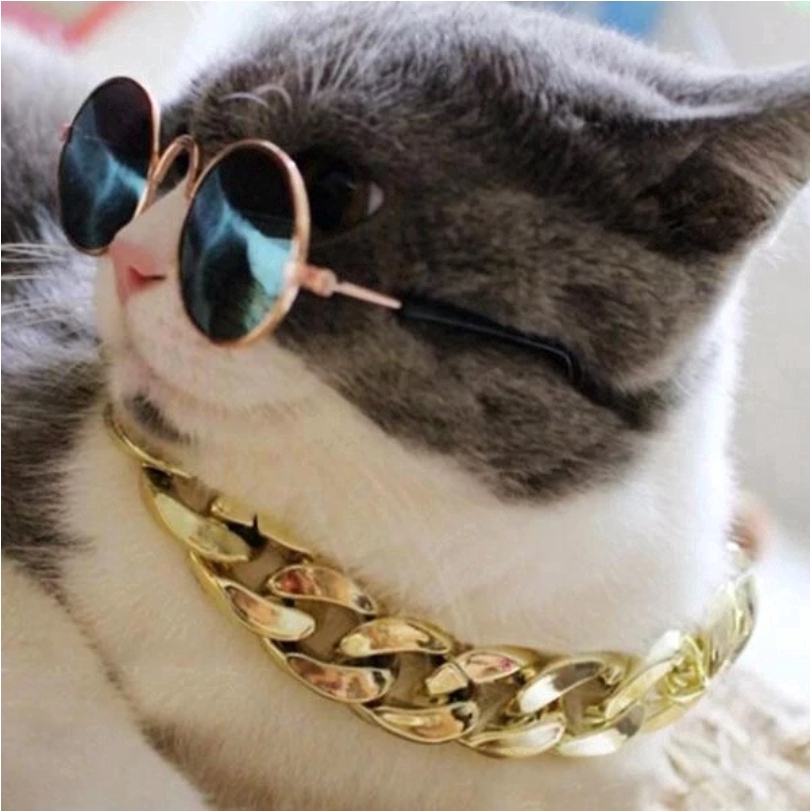 Kalung Rantai Warna Emas Cocok Untuk Anjing/Kucing