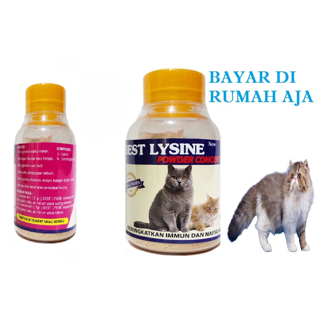 OBAT VITAMIN KUCING KURUS BEST LYSINE PENGGEMUK PENAMBAH NAFSU MAKAN  TERMURAH