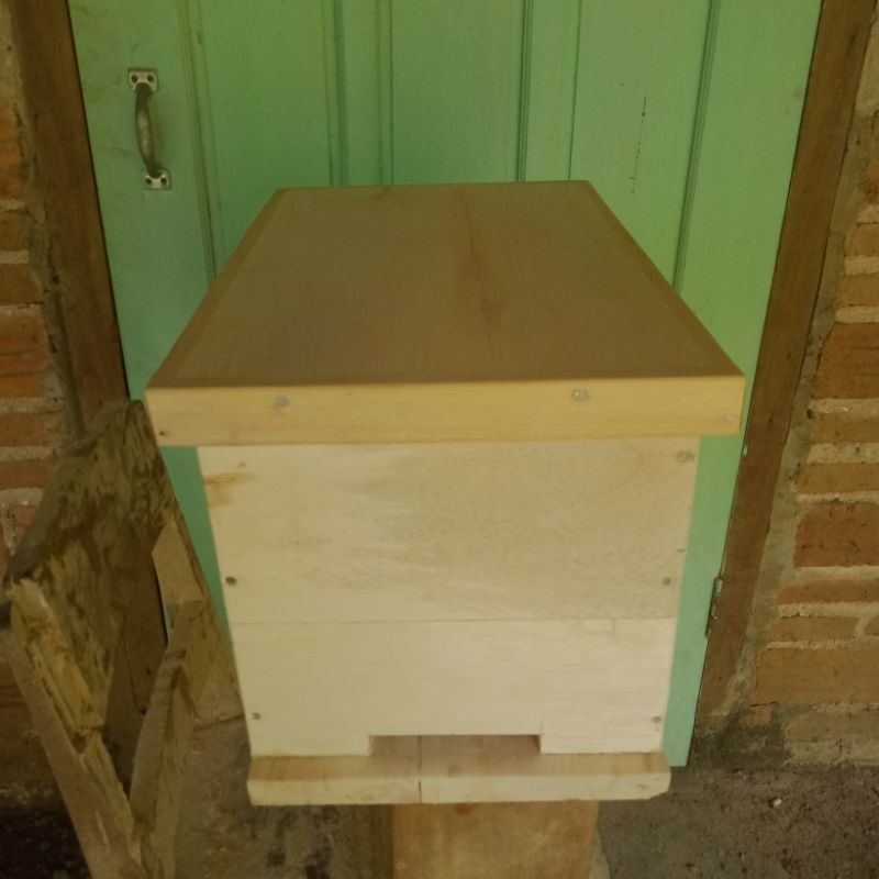 kotak lebah apis cerana