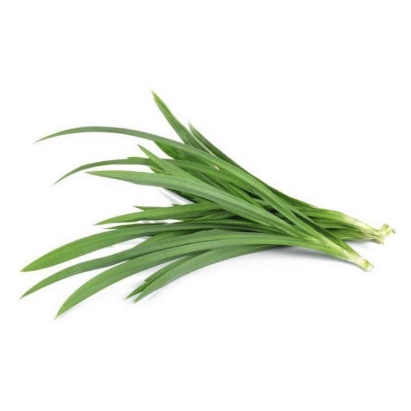 

SayurHD Daun Pandan 100 gram