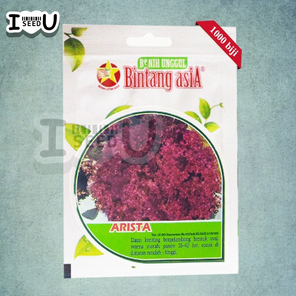 Bibit-Biji Selada Keriting Merah Arista - Bintang Asia