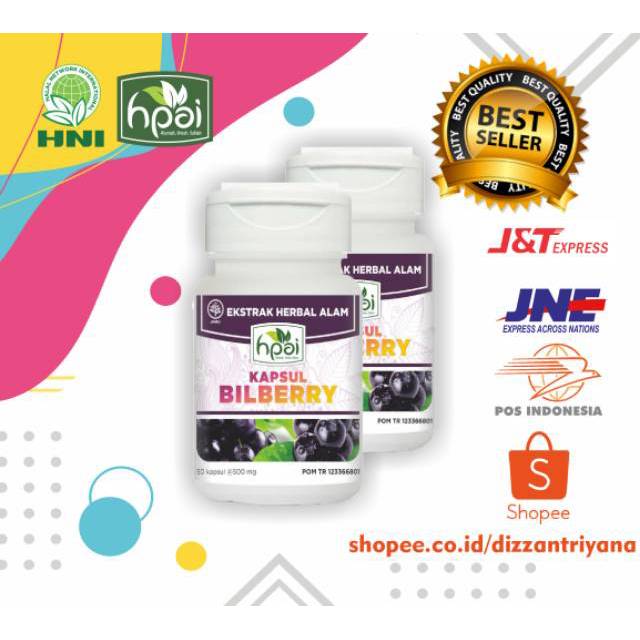 BILBERRY / herbal Kesehatan Mata