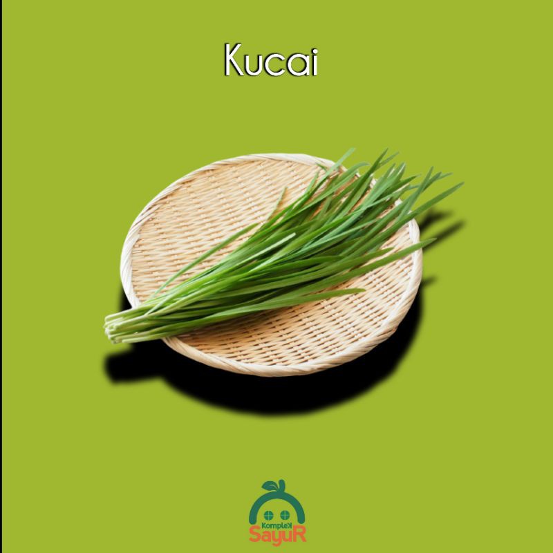 

Kucai Segar Promo Spesial