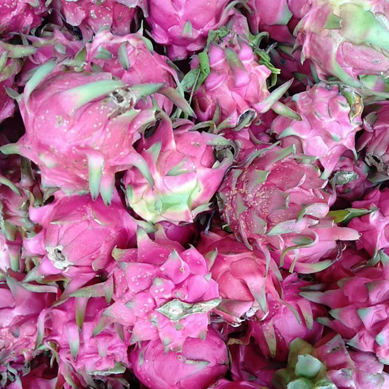 

buah Naga segar minim order 2 kg@ kilogram