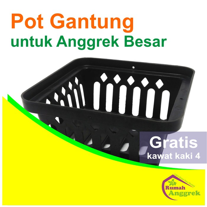 Pot Anggrek Gantung Persegi besar dewasa vanda gramma grammatophyllum hitam