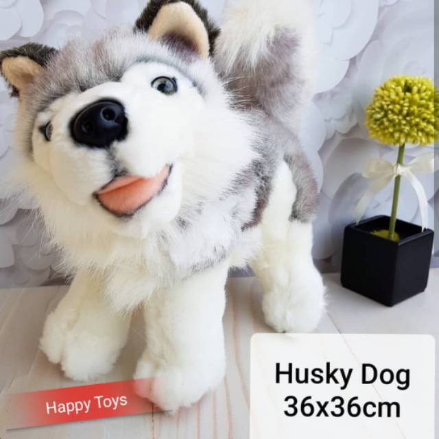 Boneka Anjing Husky