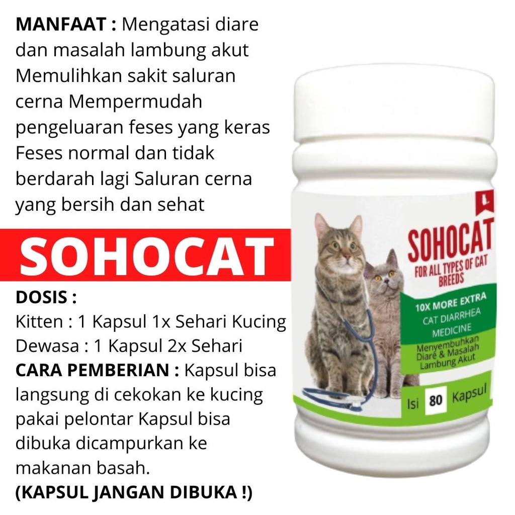 Obat Kucing MASALAH PENCERNAAN untuk Diare, Mencret, Pup Berdarah dan Radang Usus FEFARM