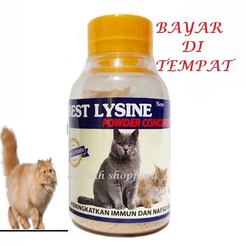 OBAT VITAMIN KUCING KURUS BEST LYSINE PENGGEMUK PENAMBAH NAFSU MAKAN  TERMURAH