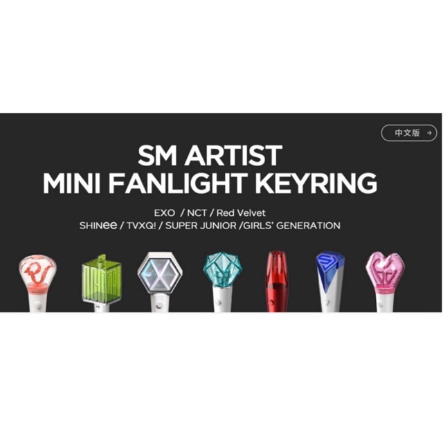 SM Artist Mini Fanlight Keyring