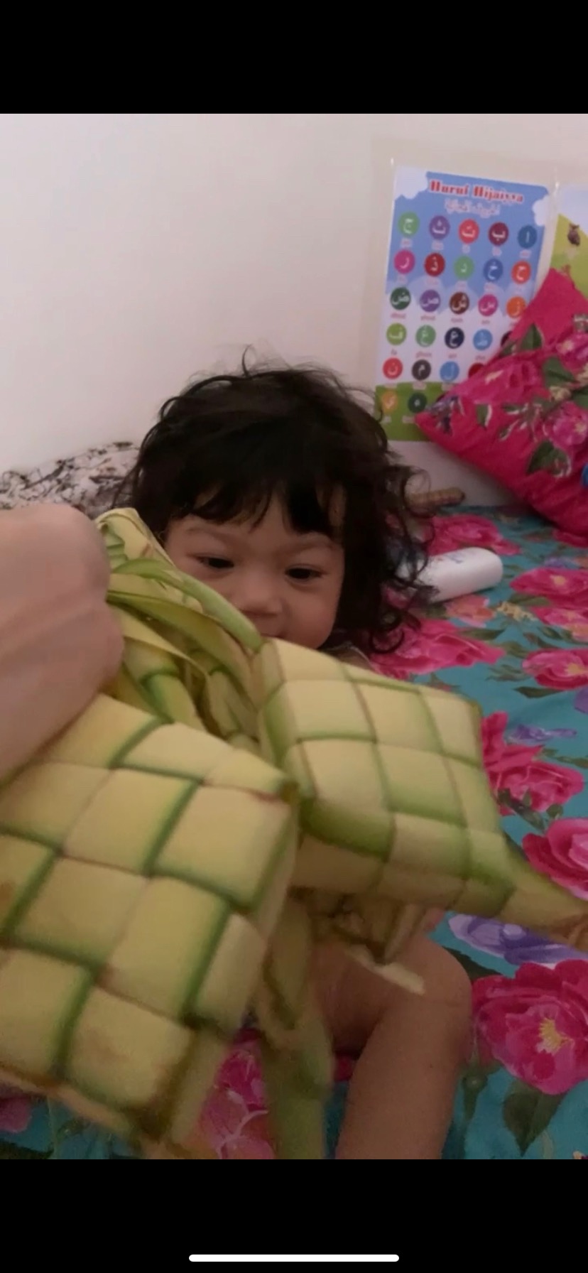 10biji Ketupat Kosong, Cangkang Ketupat