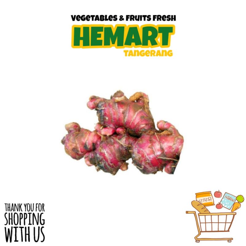 

Jahe Merah Segar 250 gram