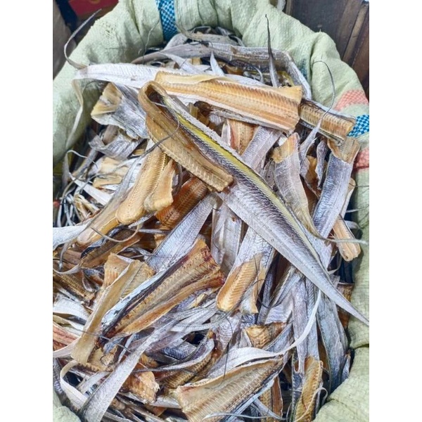 

Ikan Bledang Tawar 500gram Medan