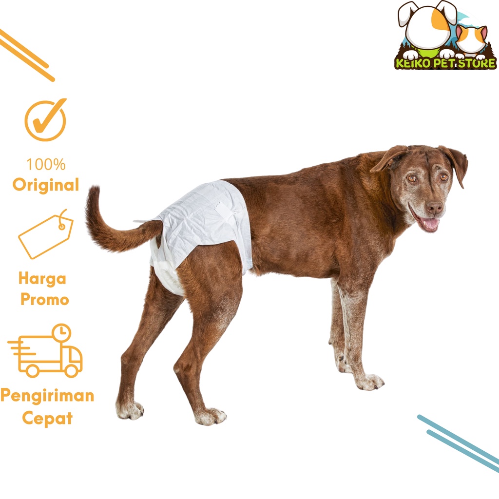 Diaper Anjing Kucing JANTAN MALE DIAPER - Pampers Popok Anjing Kucing Eceran