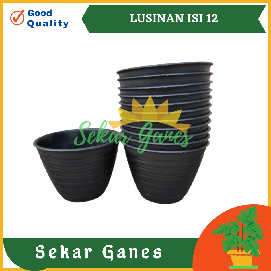 LUSINAN Pot Tawon 10 Hitam Pot Kecil Kaktus Gantung Hiasan Hidroponik Murah Pot Mini Minimalis Plastik Lucu 7 Cm Grosir - Lusinan Isi 12