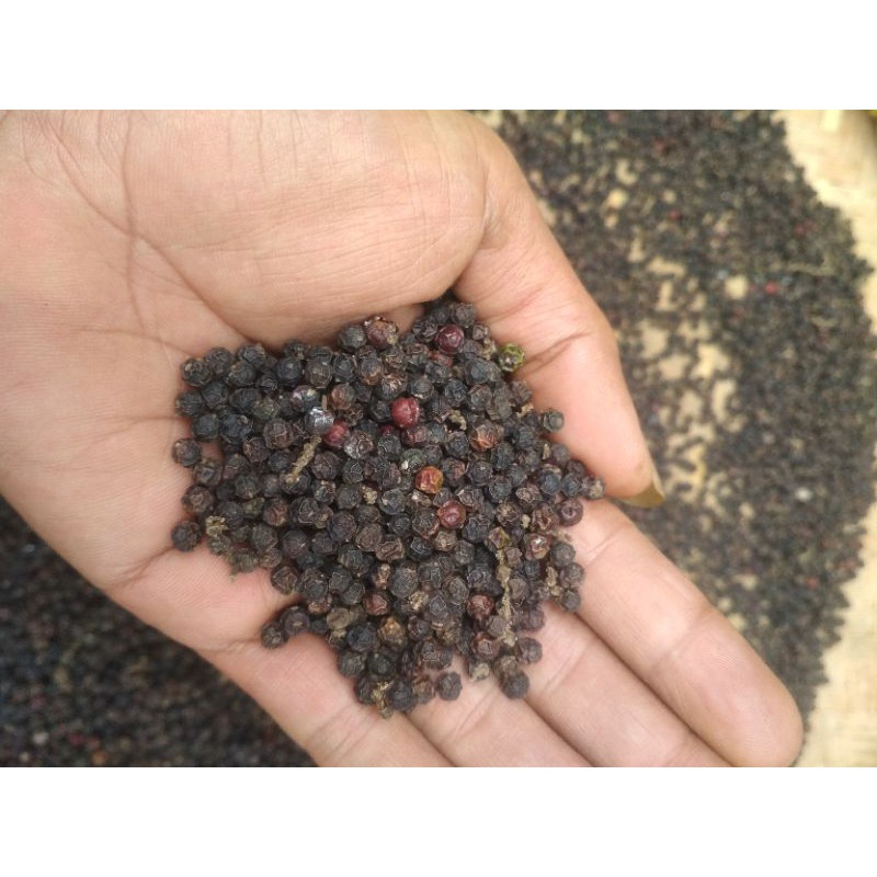 

50gram LADA HITAM UTUH MERICA HITAM