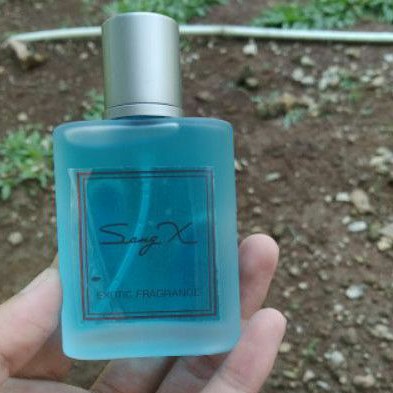Sang exotic parfum fragrance x Review Parfum