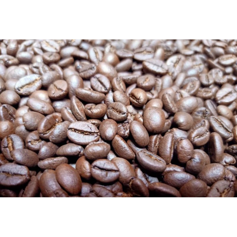 

ROBUSTA JEMBER COFFEE BEANS