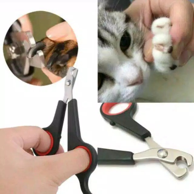 laristerus79 Gunting kuku anjing kucing marmut binatang hewan stainless steel sugar glider pet care tool