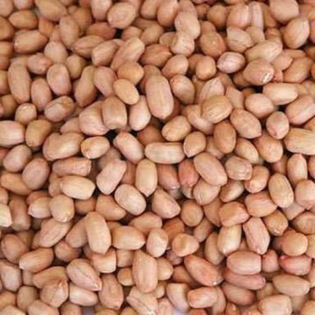 

Kacang Tanah 1 KG