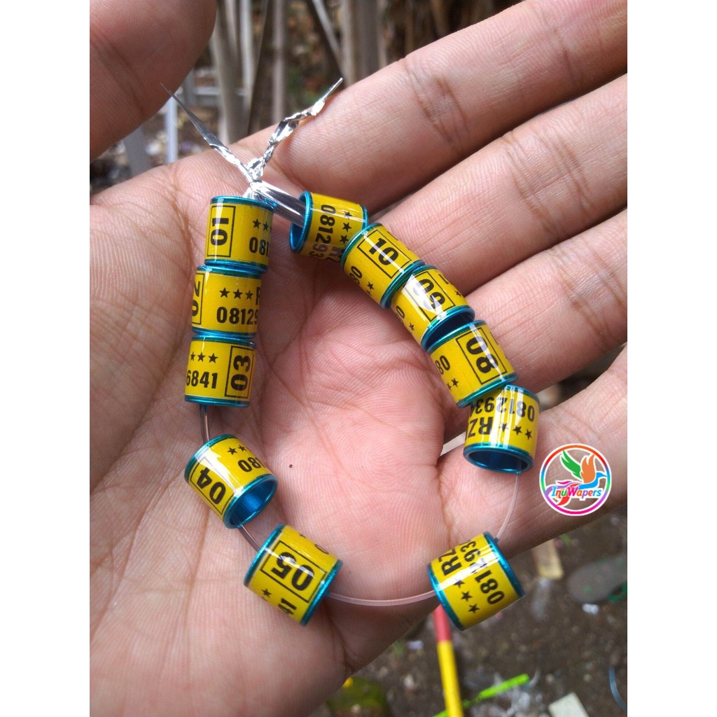 RING MERPATI CUSTOM NAMA  RING MERPATI REQUEST NAMA SENDIRI   MODEL RODA BIRU BG KUNING