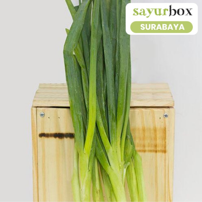 

Daun Bawang Conventional 250 gram (Sayurbox) - SURABAYA
