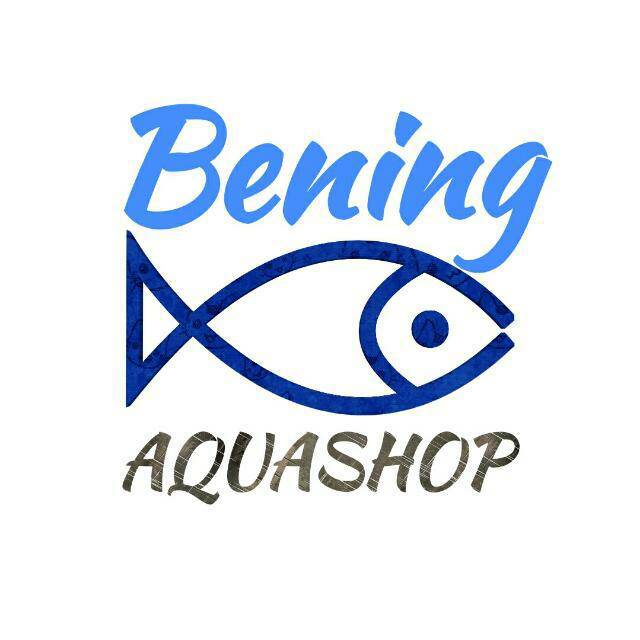 bening_aquashop