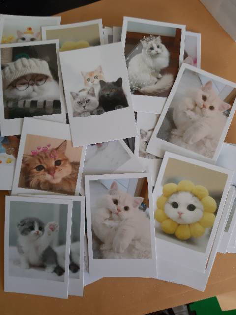 CETAK FOTO POLAROID 2R (LAMINATING GLOSY 2SISI)   KERTAS ART CARTON 310gram