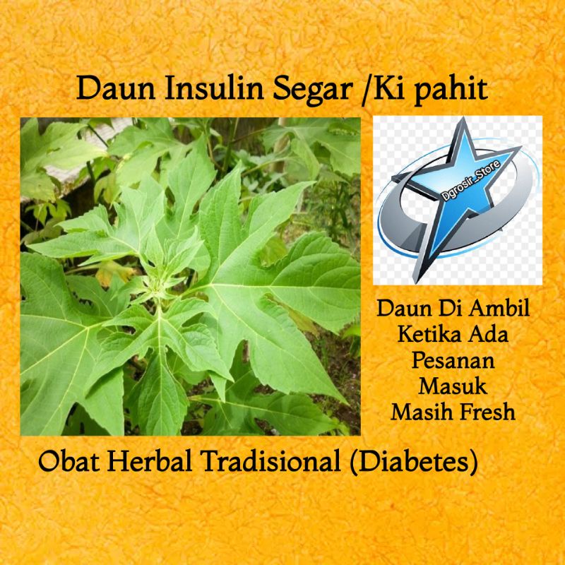 

AMPUH DAUN INSULIN/KI PAHIT OBAT HERBAL TRADISIONAL 500gr