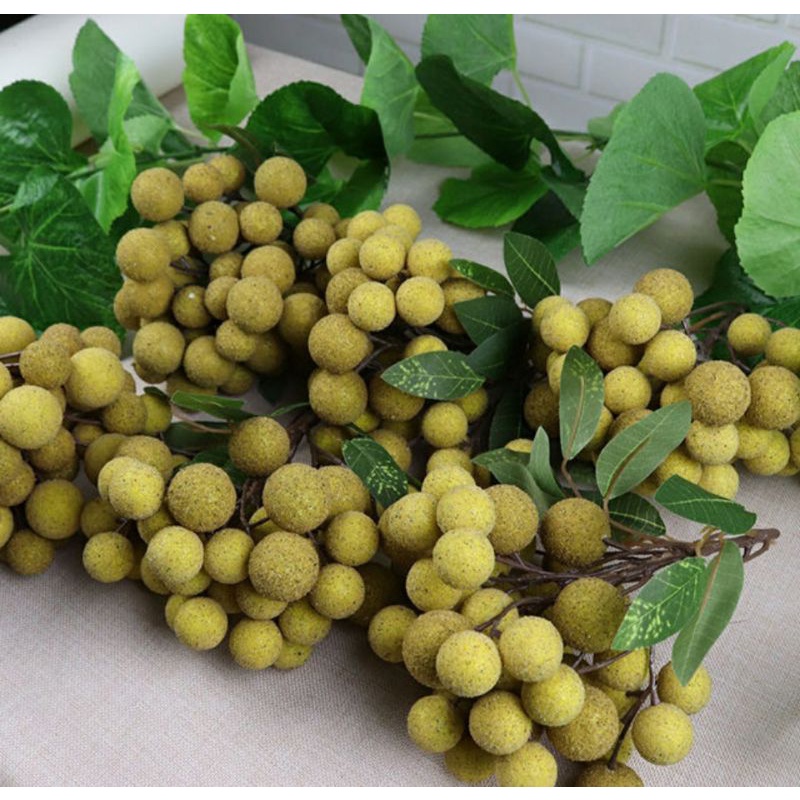 buah hias lengkeng hias lengkeng artifisial replika lengkeng replika buah buah pajangan etalase buah