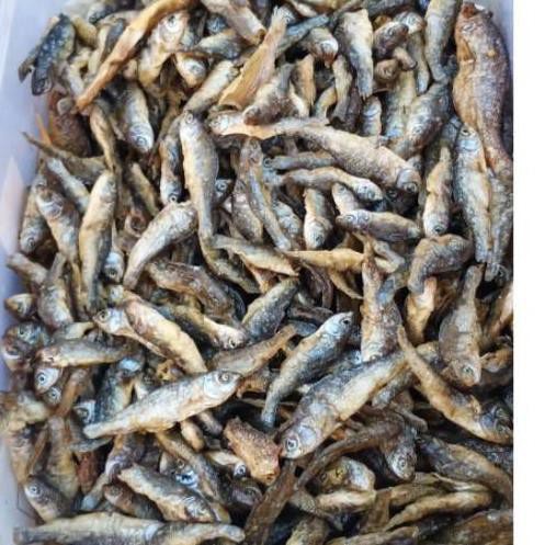

Best HMV • BILIH/IKAN BILIS PADANG/IKAN BILIH PADANG/BILIS DANAU SINGKARAK• J66 (Murah)