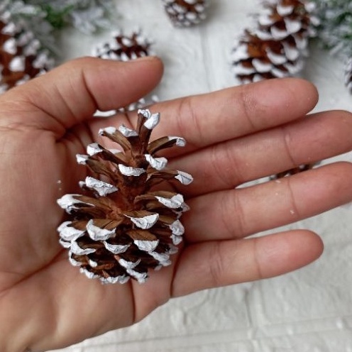 1 Pcs Buah Pinus Salju Tali atau Vernis Sedang Murah Hiasan Natal Christmas Assesories Decoration Proferty Photo Booth Dekorasi