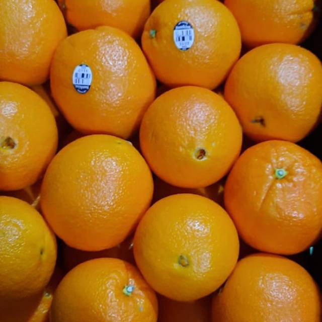 

Navel usa/Aust/jeruk potong/jeruk peras