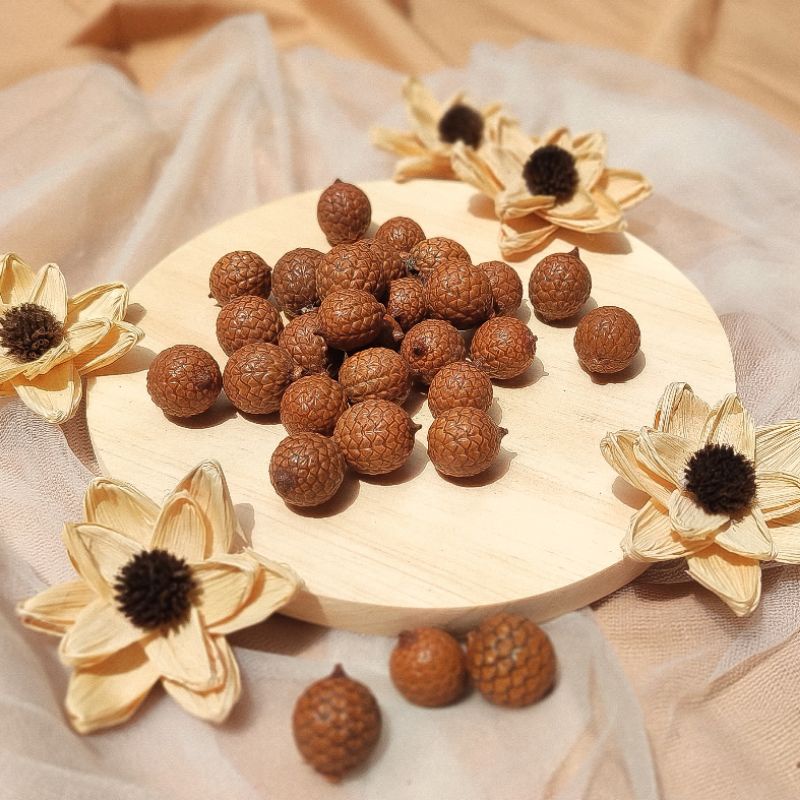 Biji Rotan Bulat Premium