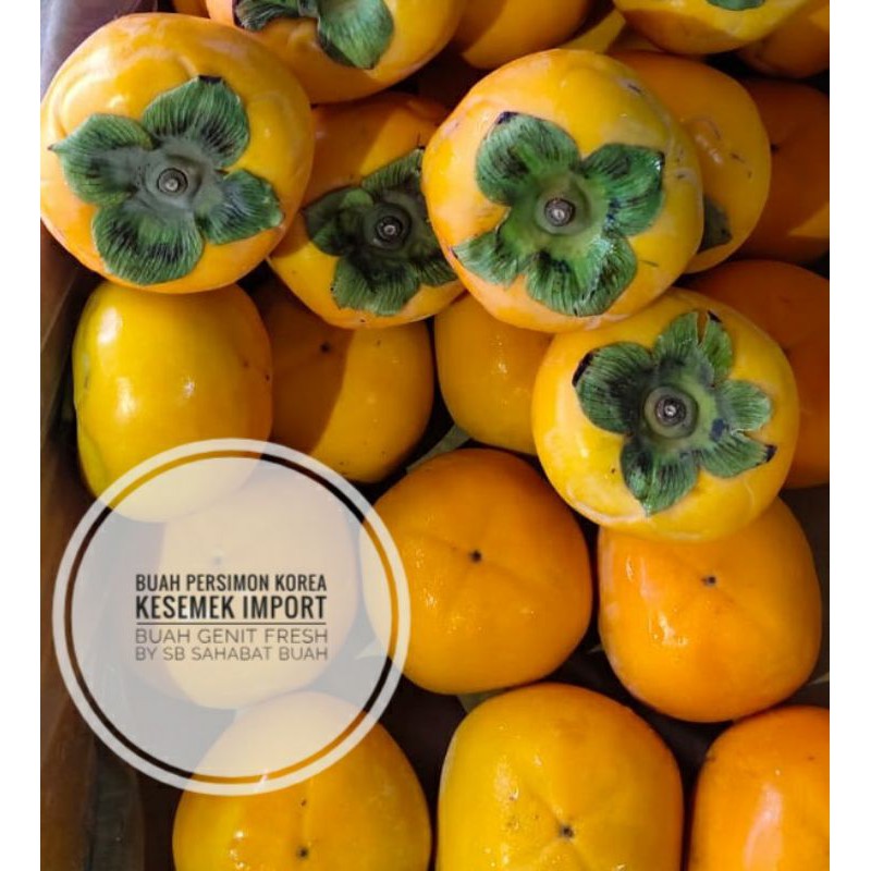 

BUAH PERSIMON KESEMEK IMPORT KOREA