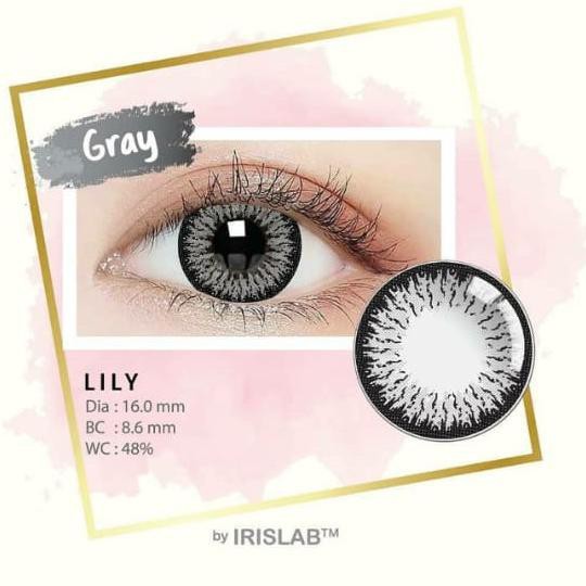 Softlens Lily by IrisLab BIG EYES DIA 16.00mm NORMAL MINUS BLACK GREY BROWN BLUE (-3.25 s/d -6.00)/Lensa  Kontak/BS