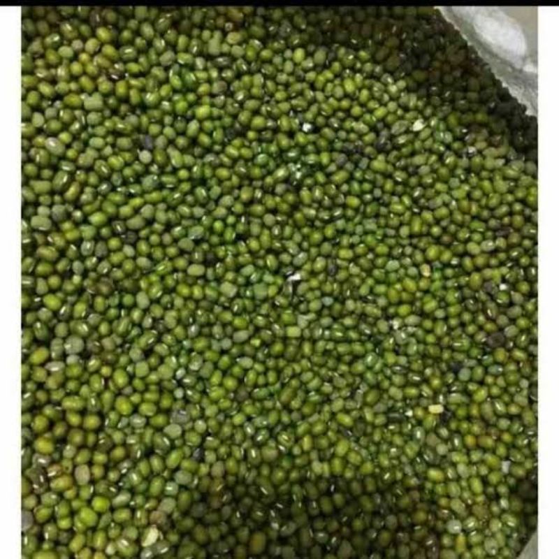 

Kacang Hijau Import Kemasan 500 Gram