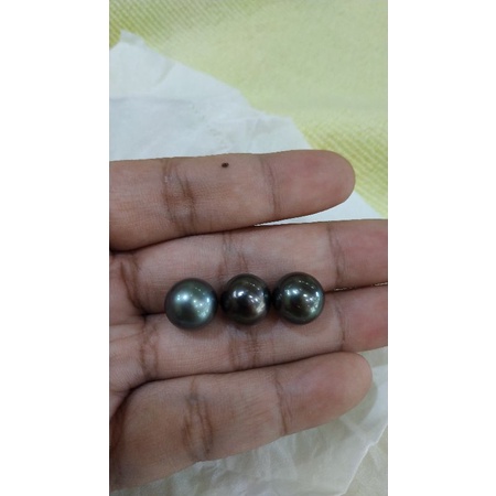 mutiara lepasan hitam grade A