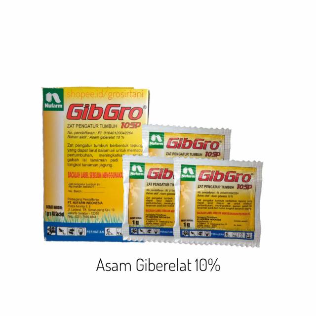 GibGro 10SP ZPT Gibberelic Acid 10 Asam Giberelat Asam GibGro 10SP ZPT Gibberelic Acid 10 Asam Giberelat Asam