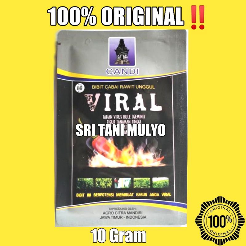 Benih Cabai Rawit VIRAL 10 Gram - Bibit Cabai Viral Toleran Virus ORIGINAL