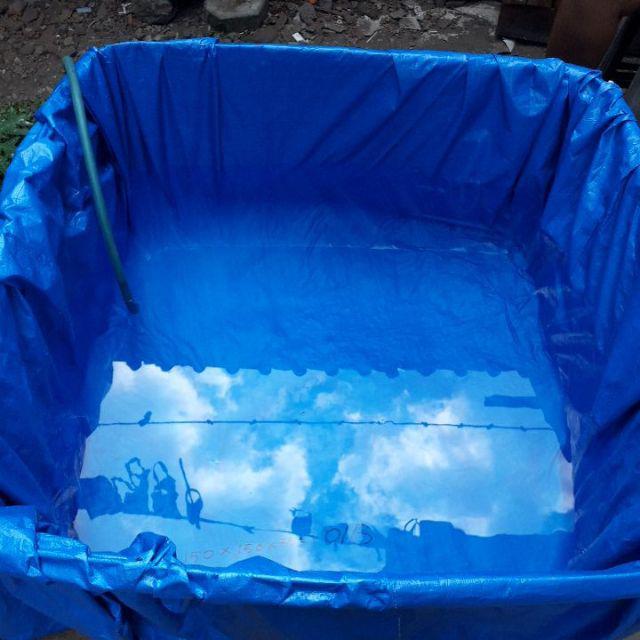 Terpal Kolam Ikan / 150x150x75cm / Type A5 Korea Original / Kwalitas Sedang / Cocok Buat Pemula