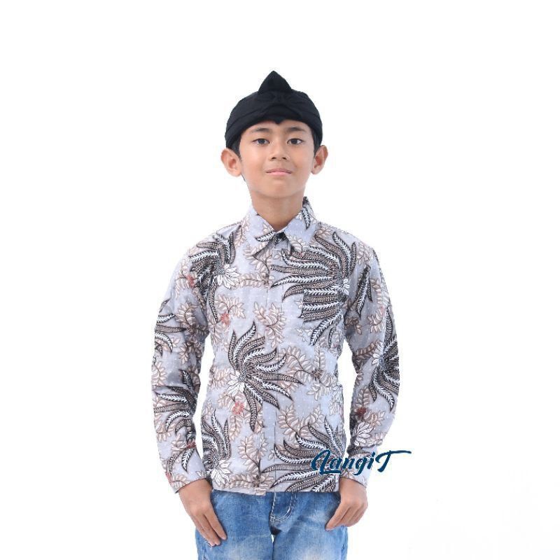 Baju batik anak laki-laki lengan panjang umur 2-13 tahun bisa buat sekolah hari batik