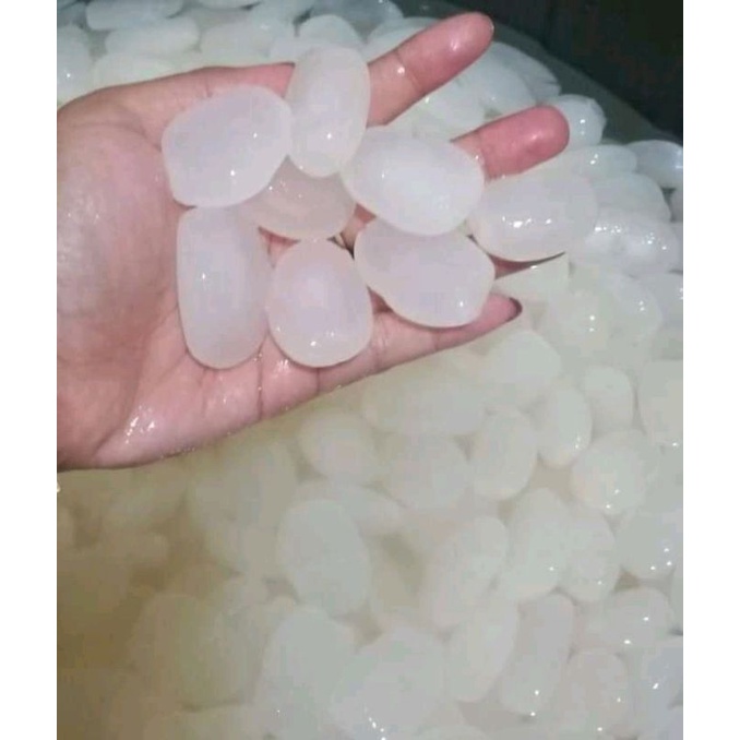 

caruluk kolang kaleng murah bersih putih bahan untuk manisan 1kg