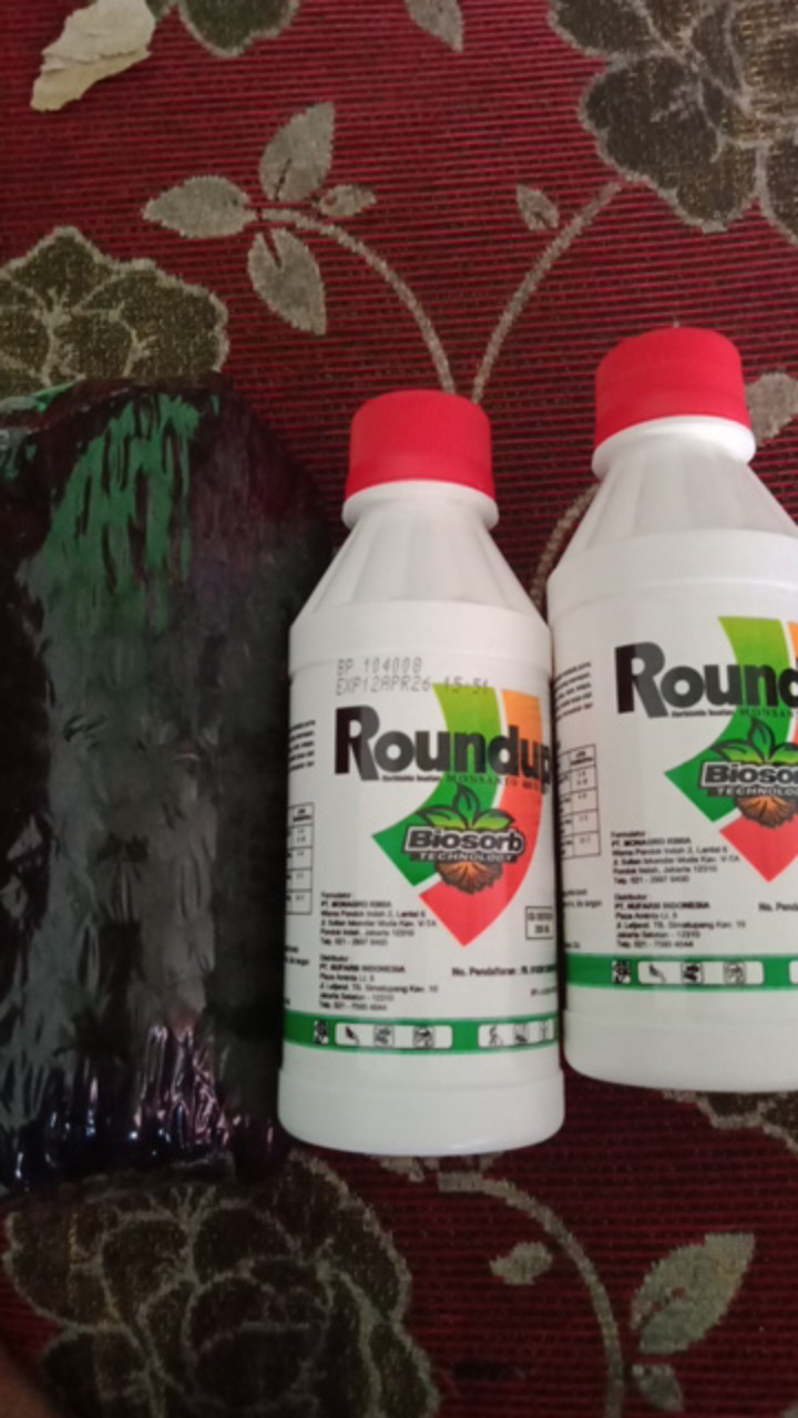 Herbisida Roundup Isi 200 Ml