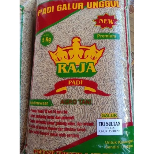 Bibit Padi Unggul Tri Sultan Benih Trisultan 5Kg